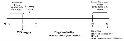 FTY720 Prevents Spatial Memory Impairment in a Rat Model of Chronic Cerebral Hypoperfusion via a SIRT3-Independent Pathway
